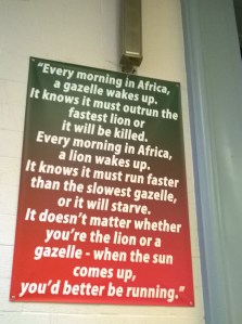 lion_gazelle poster