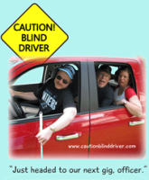 Caution! Blind Driver website