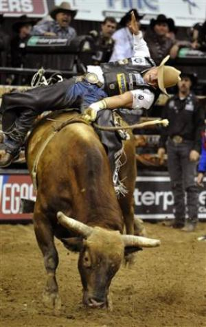 bull-rider