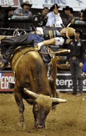 bull-rider